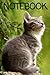 Lined Cat Notebook