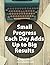 Small Progress Each Day Add...