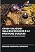 STUDI RELIGIOSI SULL'ESOTERISMO E LE PRATICHE OCCULTE: RACCOLTA DI DOCUMENTI DI RICERCA (Italian Edition)