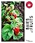 Baies et fruits