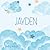 Jayden Baby Album by Baby Name Books