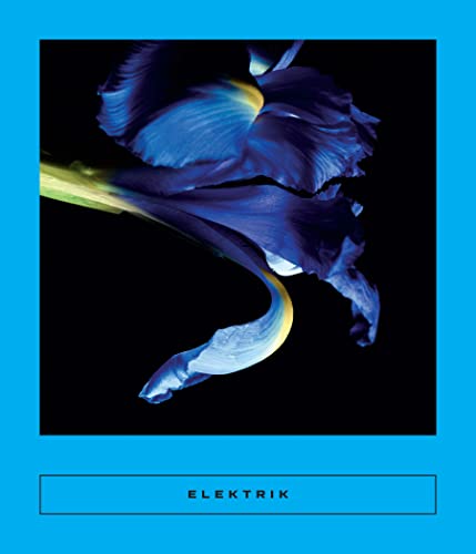 Elektrik: Caribbean Writing (Calico Series, 8)