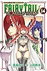 FAIRY TAIL 100 YEARS QUEST 14 (Fairy Tail: 100 Years Quest, #14)