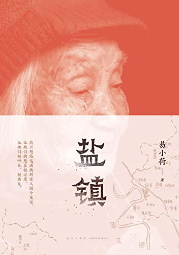 盐镇 (Paperback)