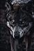 The Hound of the Baskervilles: Arthur Conan Doyle