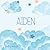 Aiden Baby Album: Name Book...