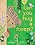 Can You Hug a Forest?