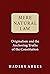 Mere Natural Law: Originalism and the Anchoring Truths of the Constitution