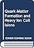Quark Matter Formation and Heavy Ion Collisions by Maurice Jacob