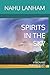 SPIRITS IN THE SKY: VISIONA...