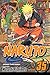 Naruto, Vol. 35: The New Two