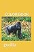 COLOR BOOK by Rajesh Sinha
