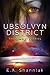 Ubsolvyn District: The Complete Series
