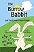 The Burrow Babbit: and the ...