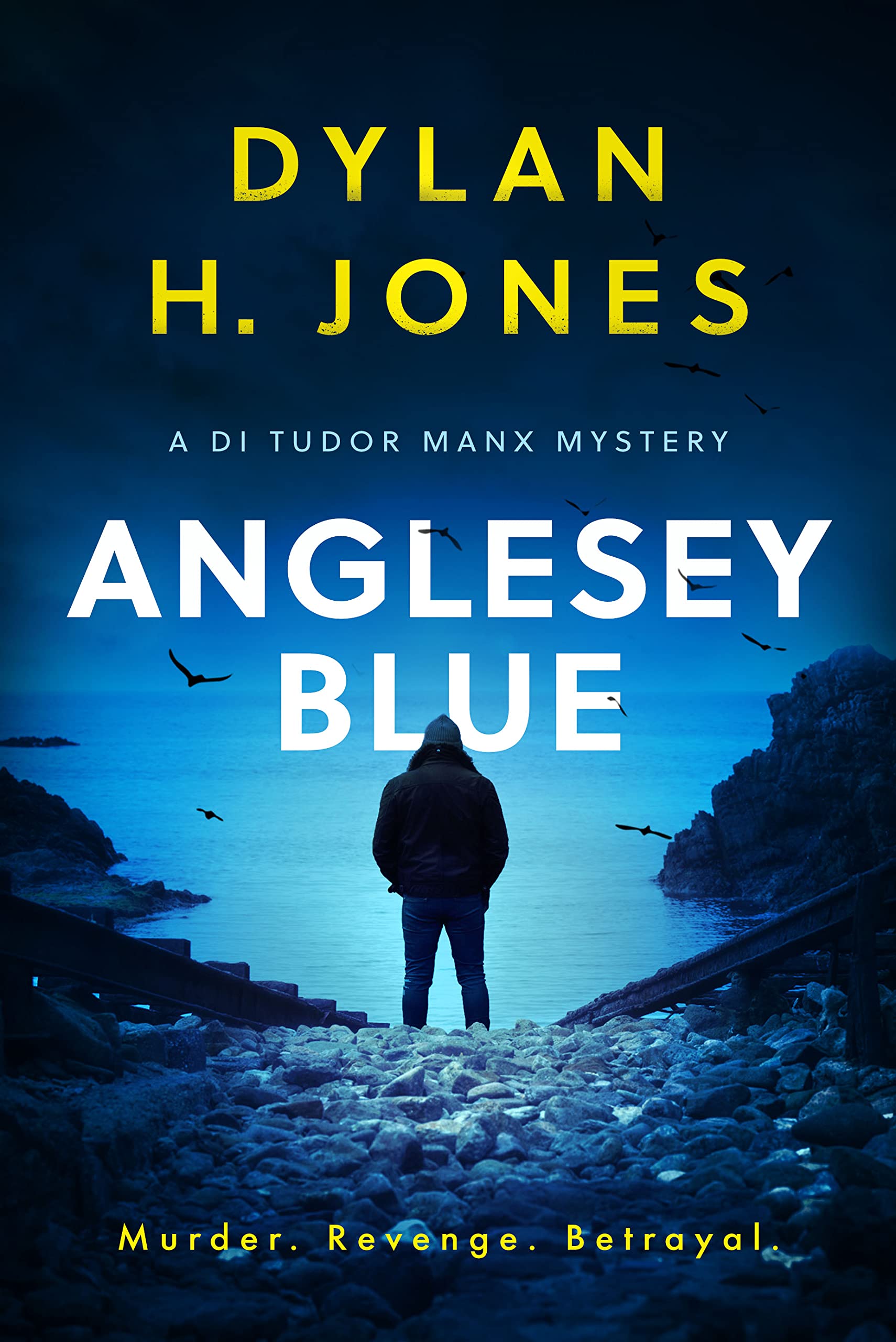 Anglesey Blue (DI Tudor Manx #1)