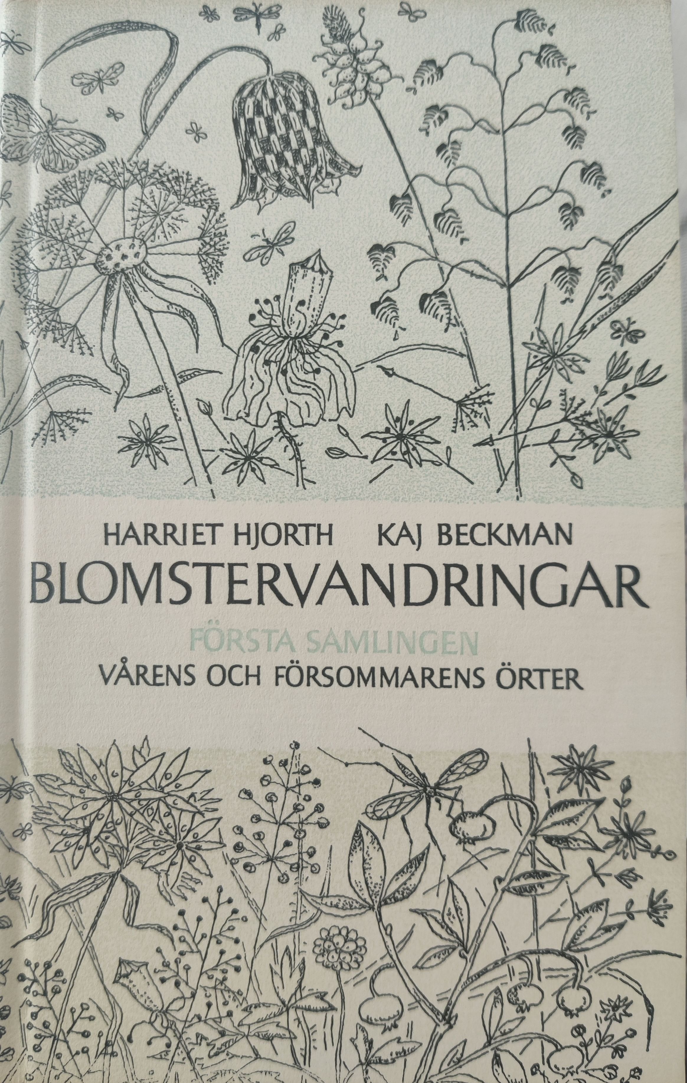vårens och försommarens örter (blomstervandringar #1)