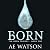Born (Born #1)