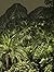 Jungles
