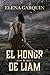 EL HONOR DE LIAM (HIJOS DE GAEL) (Spanish Edition)