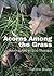 Acorns Among the Grass: Adv...