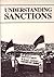 Understanding sanctions