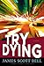 Try Dying (Ty Buchanan Series, Book 1)