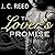 The Lover's Promise (The No Exceptions Series )