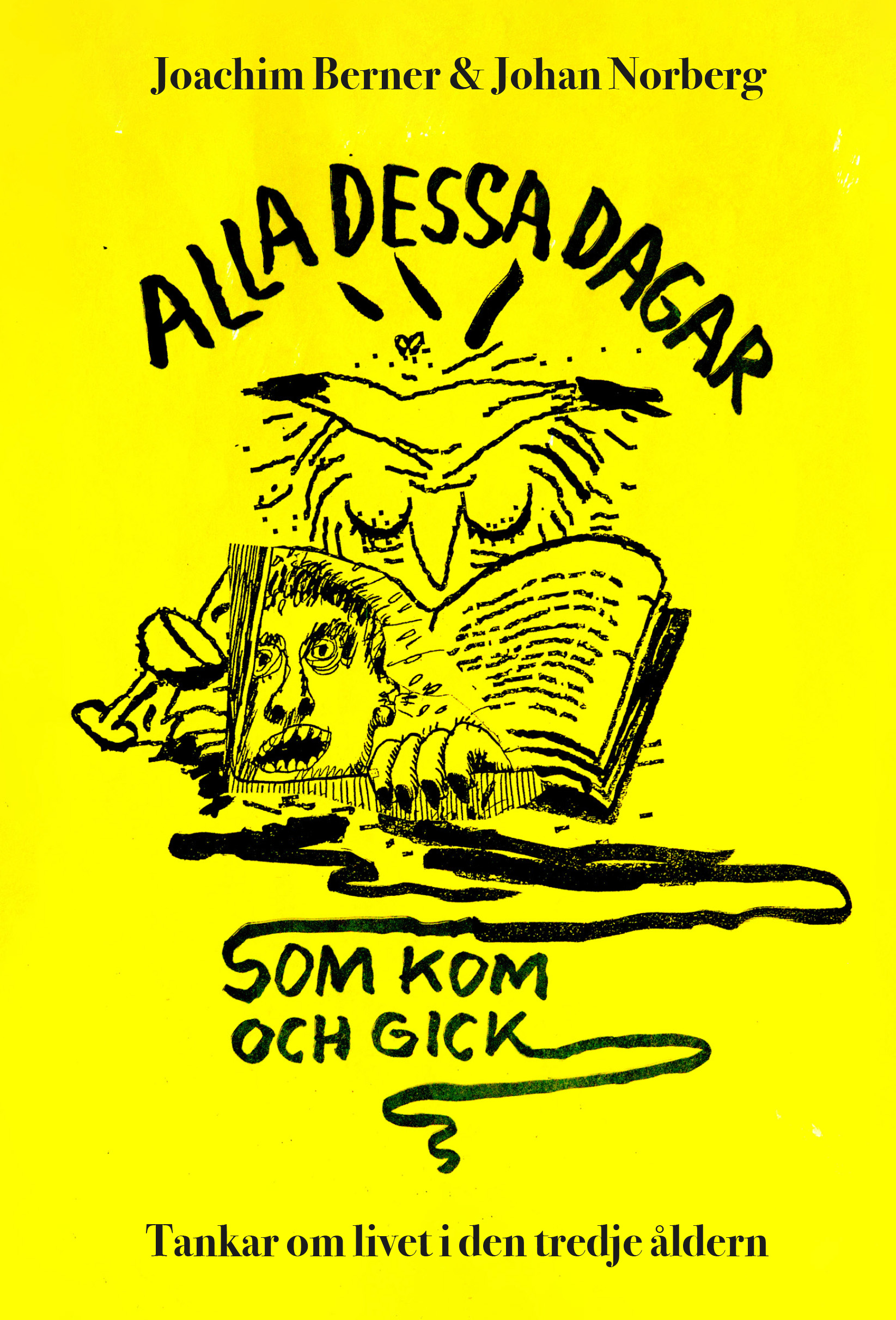 Alla dessa dagar som kom och gick: tankar om livet i den tredje åldern (Hardcover)