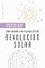 Cómo aprender a leer tu propia carta de revolución solar (Spanish Edition)