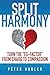 Split Harmony: Turn The "Ex-Factor" from Chaos to Compassion