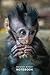 Macaque Monkey: Infant Maca...