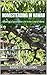 Homesteading in Hawaii: Cre...