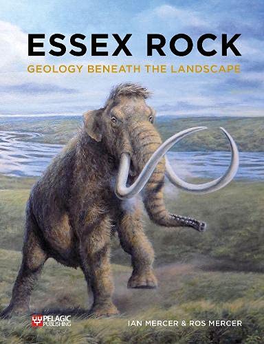 Essex Rock: Geology Beneath the Landscape (Paperback)