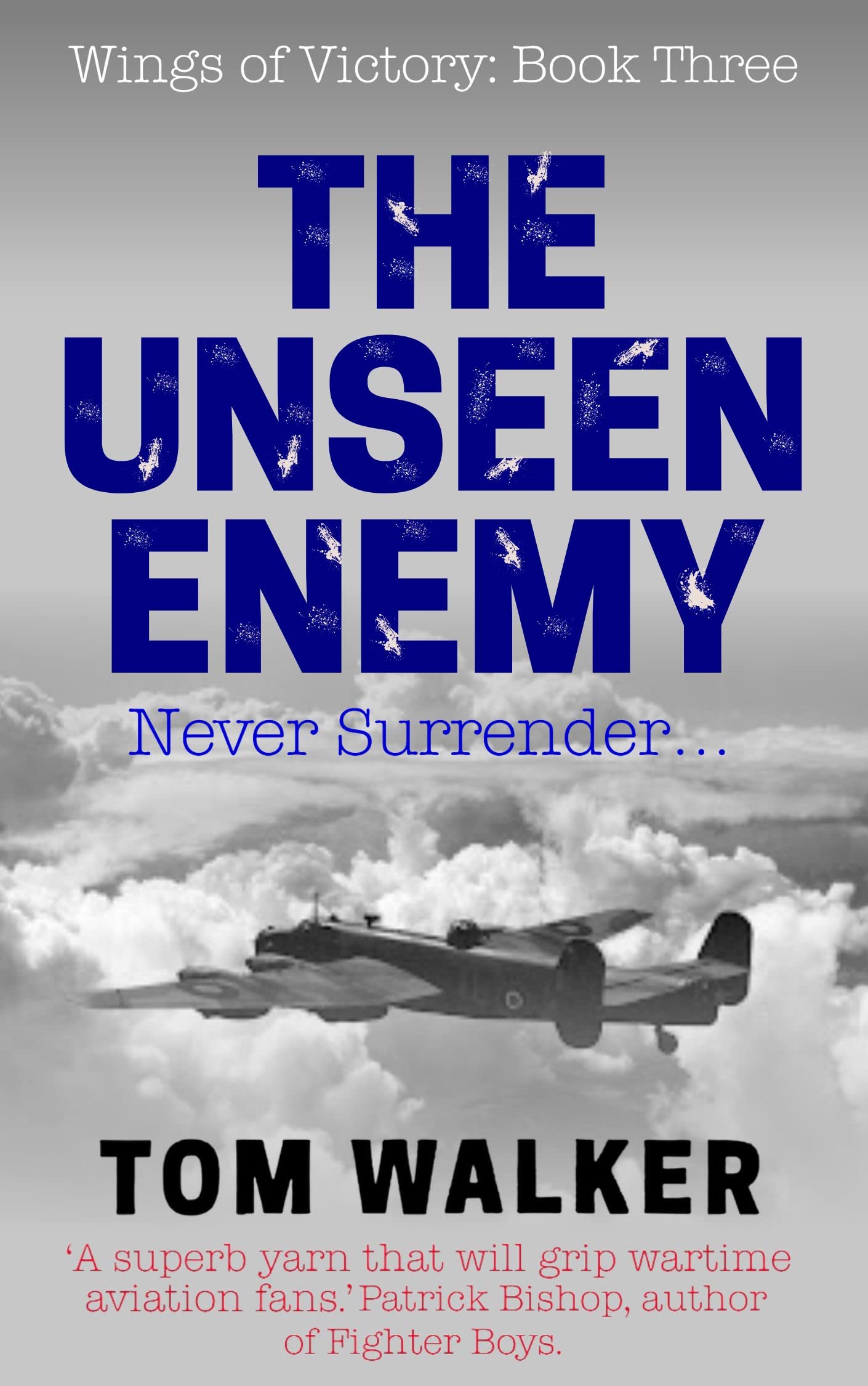 The Unseen Enemy (Wings of Victory Book 3)