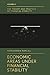 Economic Areas Under Financ...