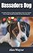Bassadors Dog: Complete Owners Guide, Acquisition, Cost, Care, Proper Care, Proper Health And Diet Of Your Amazing Pet
