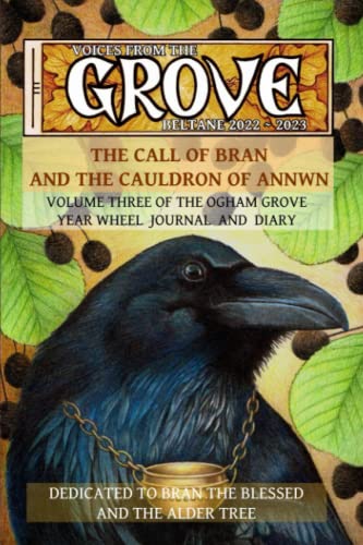 Voices From The Grove: Beltane 2022 to Beltane 2023: The Call of Bran and the Cauldron of Annwn (Paperback)