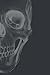Skull Book: Small Lined Not...