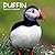 Puffin Calendar 2022: Puffi...