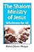 The SHALOM Ministry of Jesus