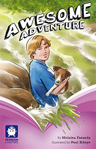 Awesome Adventure (Paperback)