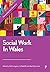 Social Work in Wales by David Wilkins