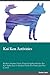 Kai Ken Activities Kai Ken Activities (Tricks, Games & Agilit... by Adrian Gill