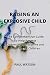 Raising an Explosive Child:...