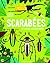 Scarabées et autres coléoptères