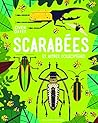 Scarabées et autres coléoptères