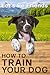 How To Train Your Dog: From Woof To Well-Behaved