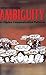 Understanding Ambiguity in ...