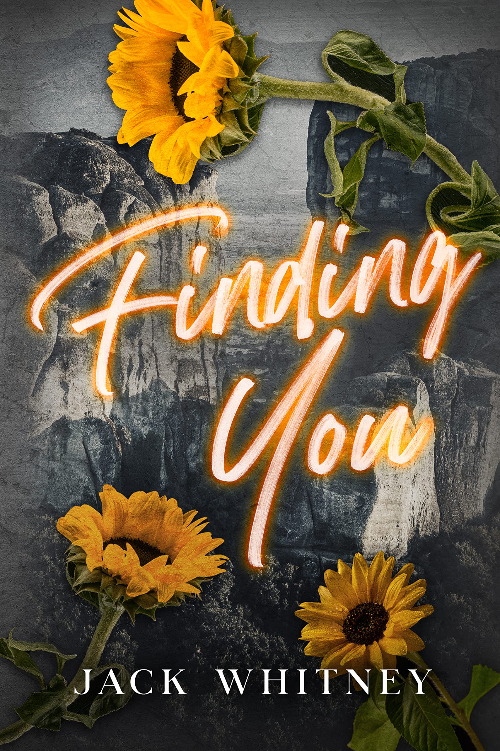 Finding You (Sweet Girl Duet #2)