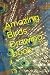 Amazing Birds Drawing book by Dhruv Kumar
